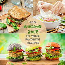 Load image into Gallery viewer, Handy Pantry Complete Sprouting Kit | "Sprout Garden" 3 Tray Sprouter, SG.52 | BPA Free Stackable Sprouting System | Includes Printed Instructions & Organic Sprouting Seeds