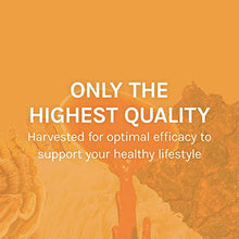 Load image into Gallery viewer, Host Defense, Chaga Capsules, Antioxidant and DNA Support, Mushroom Supplement, Unflavored, 120
