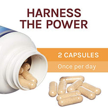 Load image into Gallery viewer, Host Defense, Chaga Capsules, Antioxidant and DNA Support, Mushroom Supplement, Unflavored, 120
