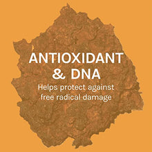Load image into Gallery viewer, Host Defense, Chaga Capsules, Antioxidant and DNA Support, Mushroom Supplement, Unflavored, 120
