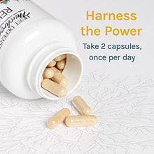 Load image into Gallery viewer, Host Defense, Reishi Capsules, Supports General Wellness and Vitality, Mushroom Supplement, Unflavored, 120 Count (Pack of 1)

