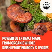 Load image into Gallery viewer, FreshCap, Reishi Mushroom Powder (60 Servings), Supplement for Longevity, Organic Dual Extract (27% Beta glucan, 1.4% Triterpene)
