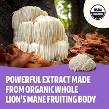 Load image into Gallery viewer, FreshCap Lions Mane Powder Supplement - Organic Brain Supplements for Memory, Focus, Cognition &amp; Mental Clarity - Add to Coffee/Tea/Smoothies - 60 Grams
